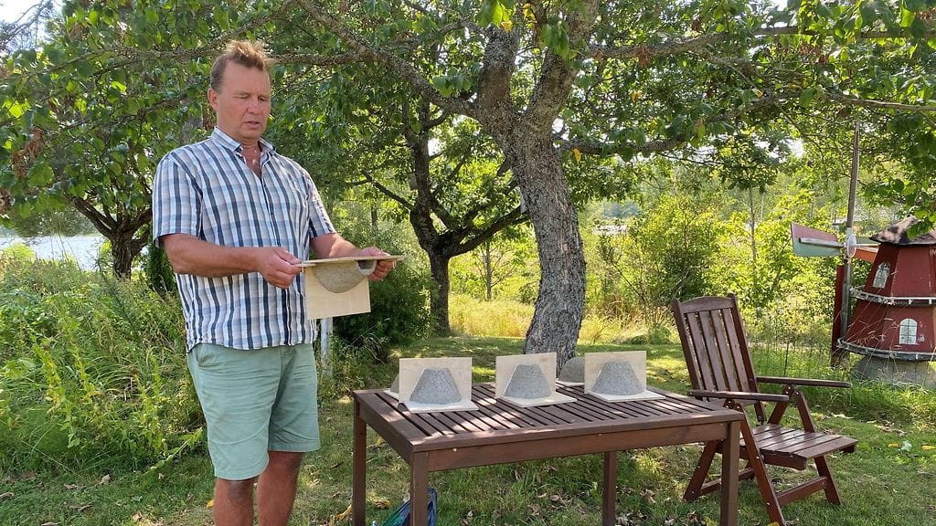 pääskyt, tekopesä, Raimo Henriksson