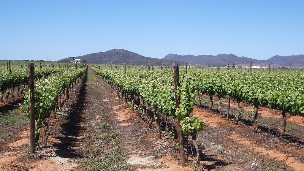 Afrikan keskiosissa sijaitsevassa Tshadissa on kuollut 22 ihmistä maanviljelijöiden ja paimentolaisten yhteenotoissa. Kuvituskuvaa maanviljelyksestä.