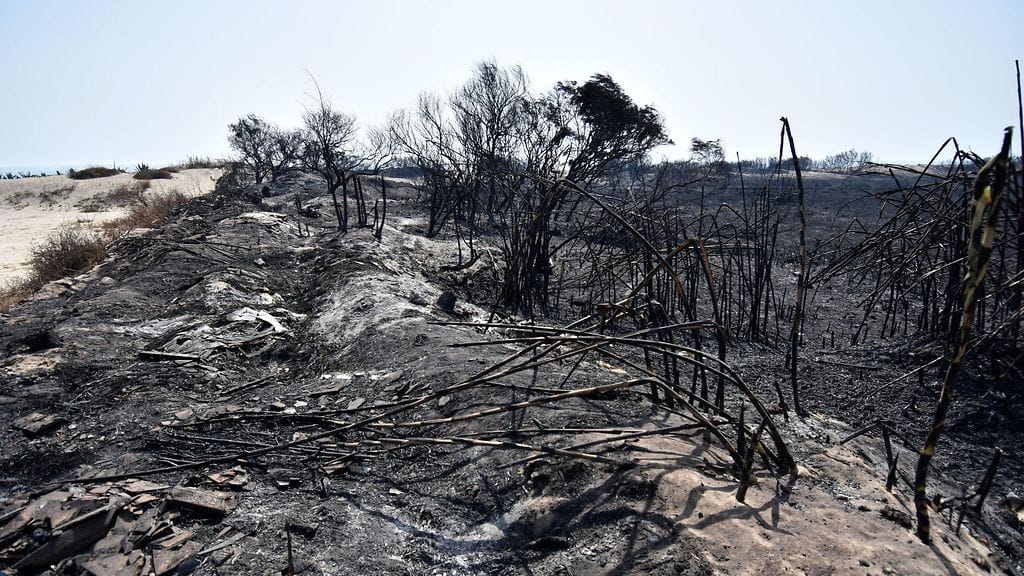 AOP Italia Sisilia maastopalo (1)