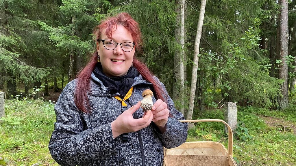 Herkkutatti, Tea von Bonsdorff