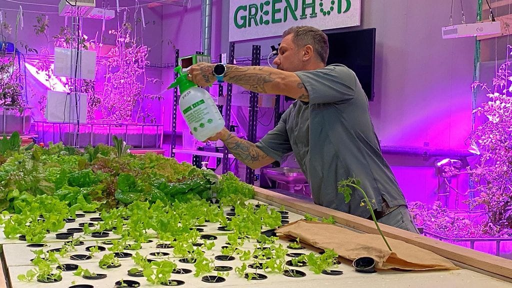 Ravintolan kasvihuone, keittiömestari Kasper Sjöholm