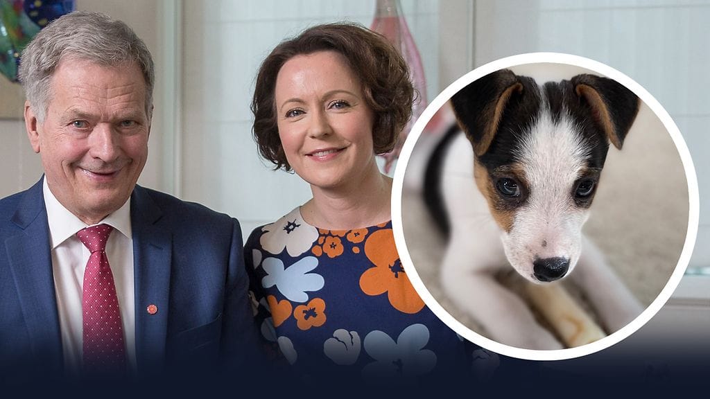 Presidenttiperheen koiranpennun nimi on Osku.