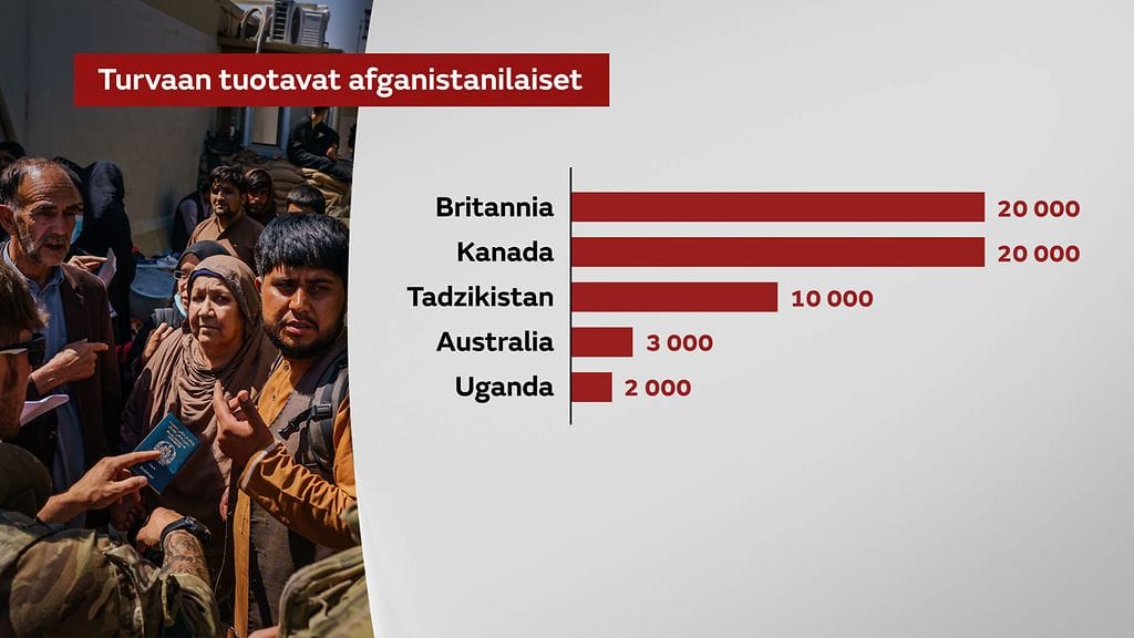 3008-Pakolaiset-grafiikka-6
