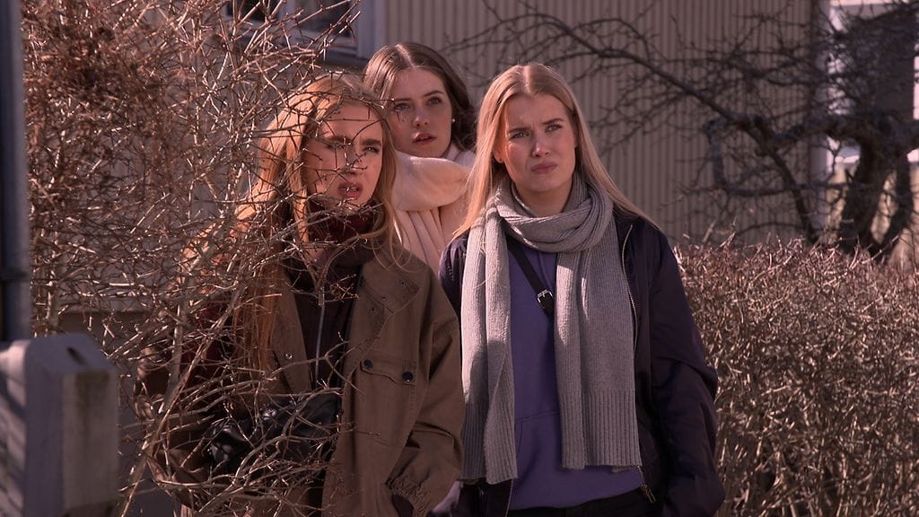 4041 03 nella mira viola