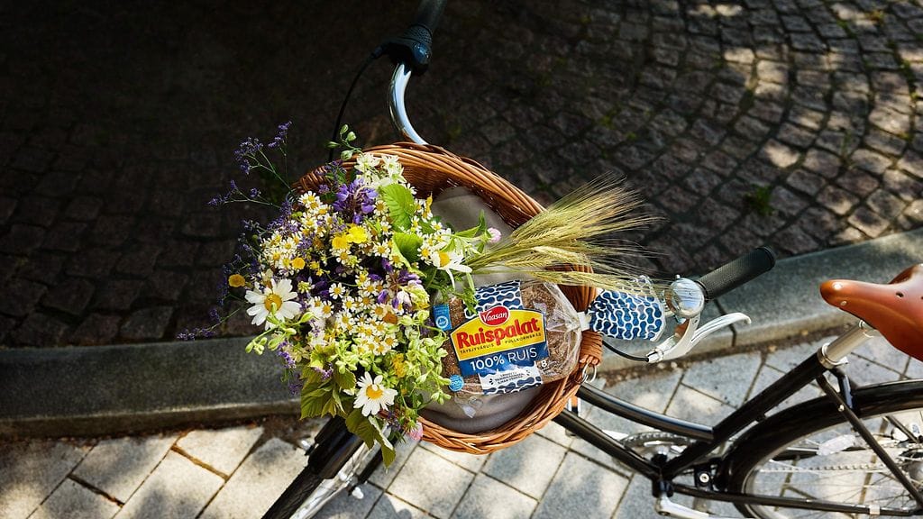 Vaasan Ruispalat 100% ruis