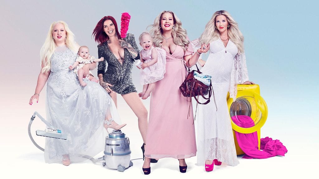 Gossip Moms Suomi  -ohjelmassa kurkataan Henna Kalinaisen, Sini Ariellin, Vilma Karjalaisen ja Maisa Torpan elämään ja äitiyteen.