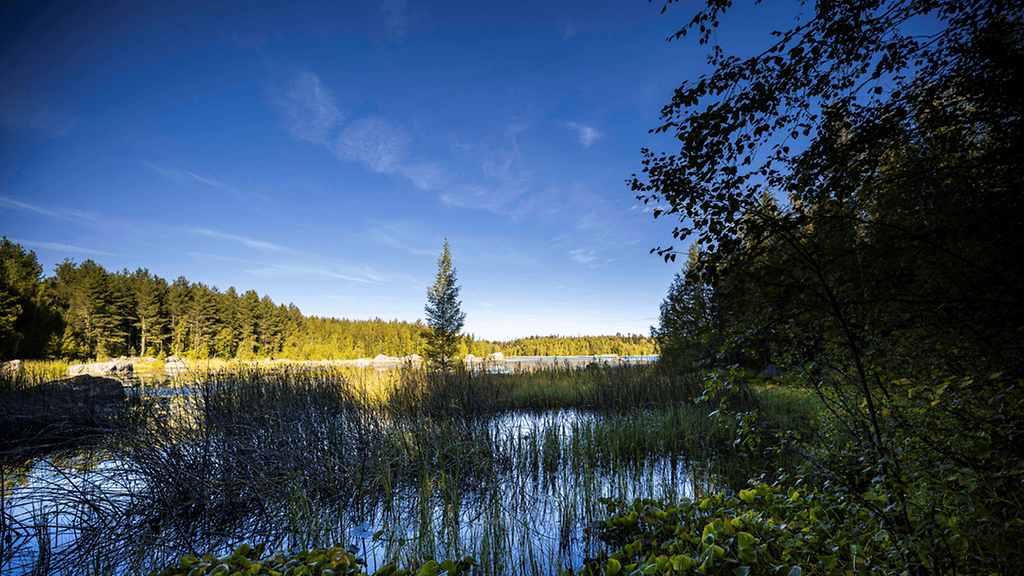 OMA: Vaasa, pilvilampi (1)