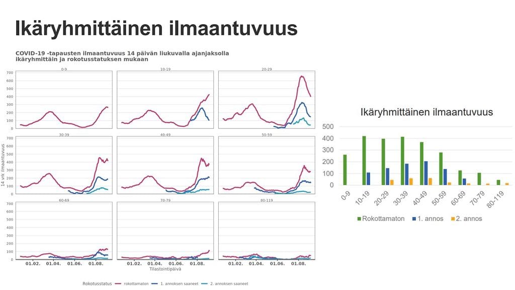 THL ja STM esittivät kuvaajan koronan ilmaantuvuuden rokottamattomien keskuudessa.