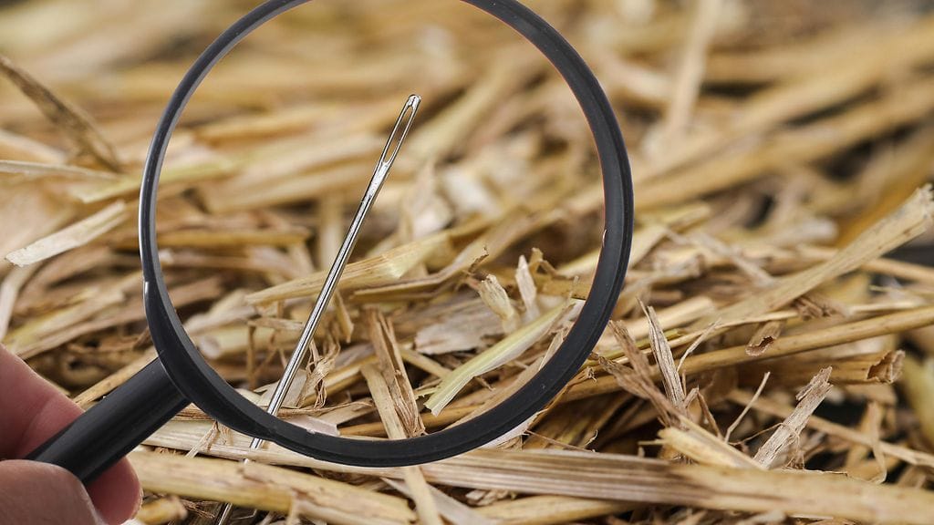 Löytyykö neula heinäsuovasta? Kuvituskuva.