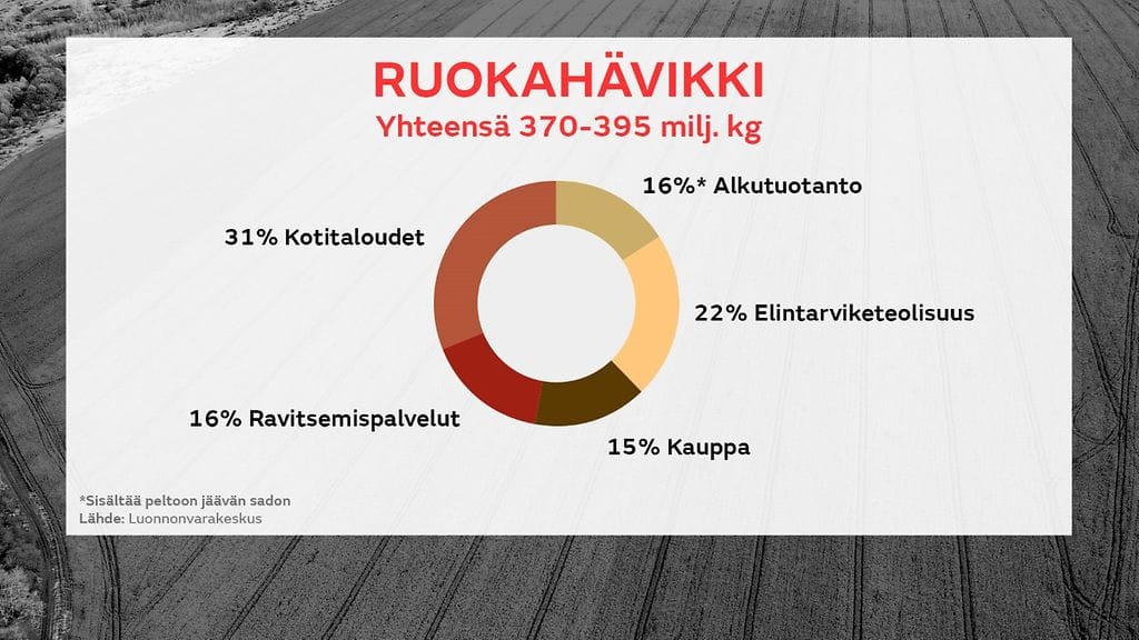 ruokahävikki