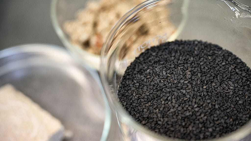 seesaminsiemenia-tutkittavana_tulli_aku-hayrynen