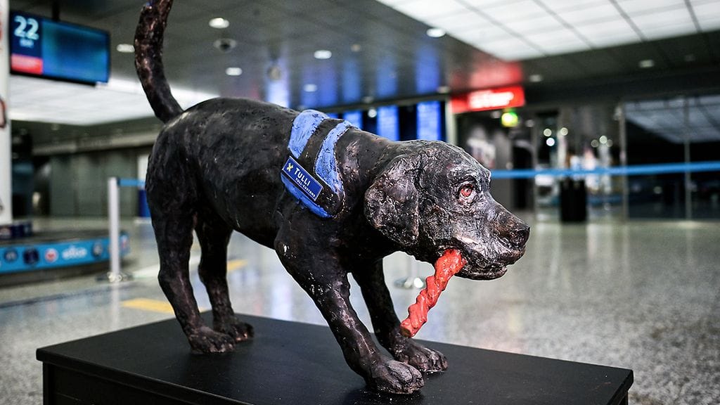 tullikoirapatsas_kuva-aku-hayrynentulli