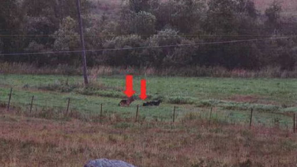 KÄRÄJÄOIKEUDEN TODISTEMATERIAALI