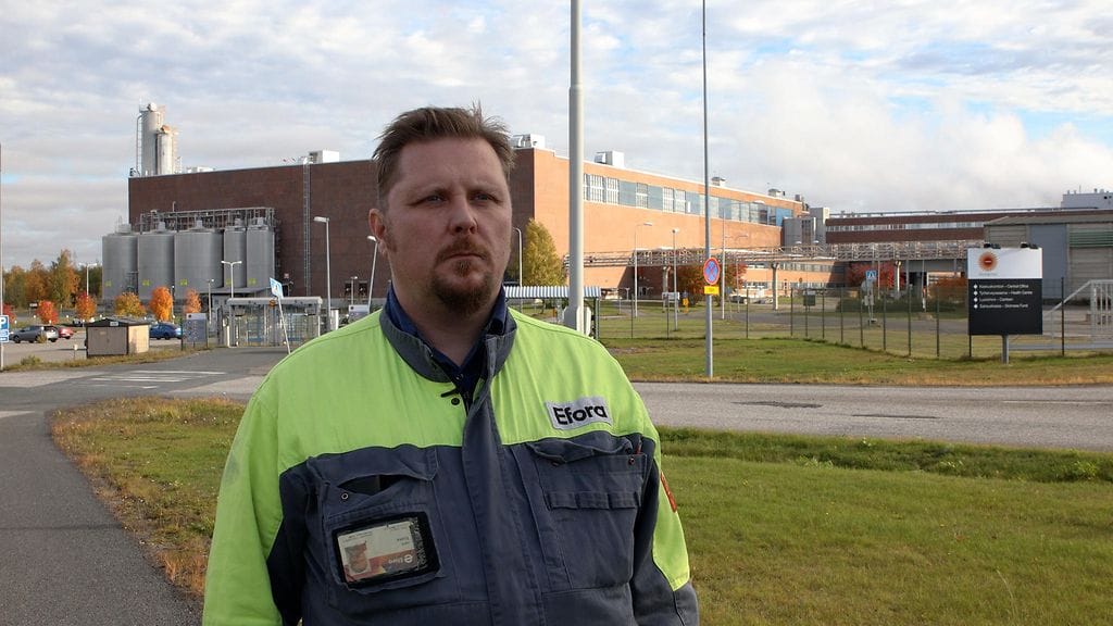 OMA: Veitsiluoto, buska