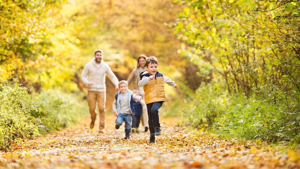 shutterstock_710062660