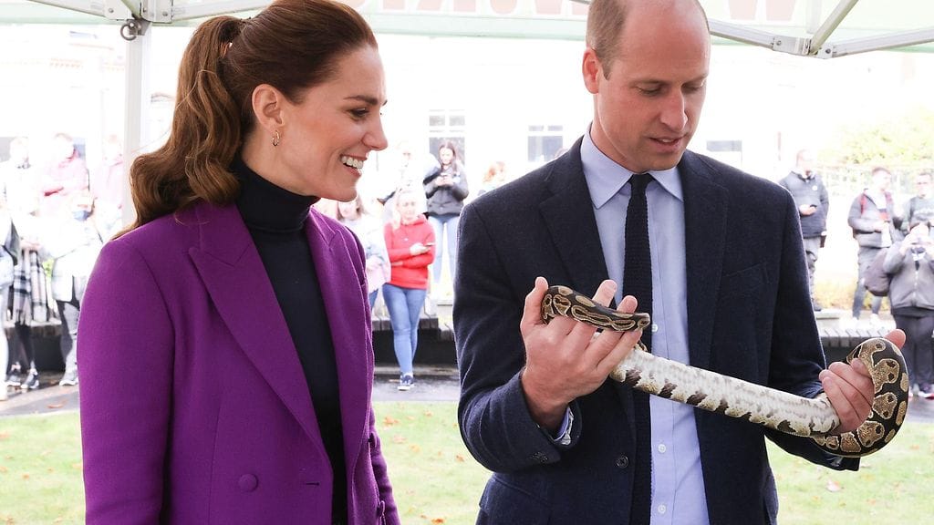 AOP Prinssi William pyton