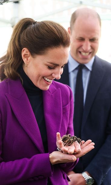 AOP Herttuatar Catherine hämähäkki