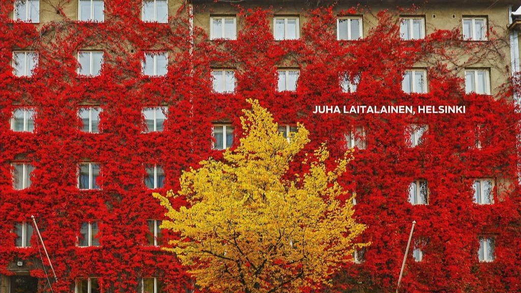 Tänään lämpötilat vaihtelevat 15–20 asteen haarukassa, mutta pohjoisemmassa Lapissa jäädään 10 asteen tienoille. Kuvituskuva syksystä.