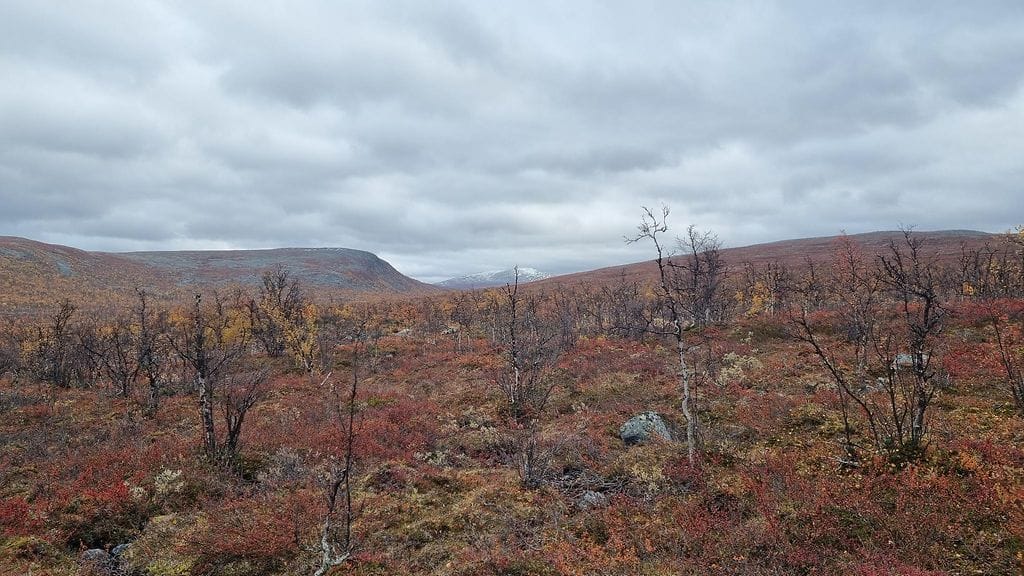 Poliisille on tehty autiotuvan tapahtumista rikosilmoitus. Paikalla oli poliisin mukaan vaeltajia sekä kolme miestä mönkijöineen.