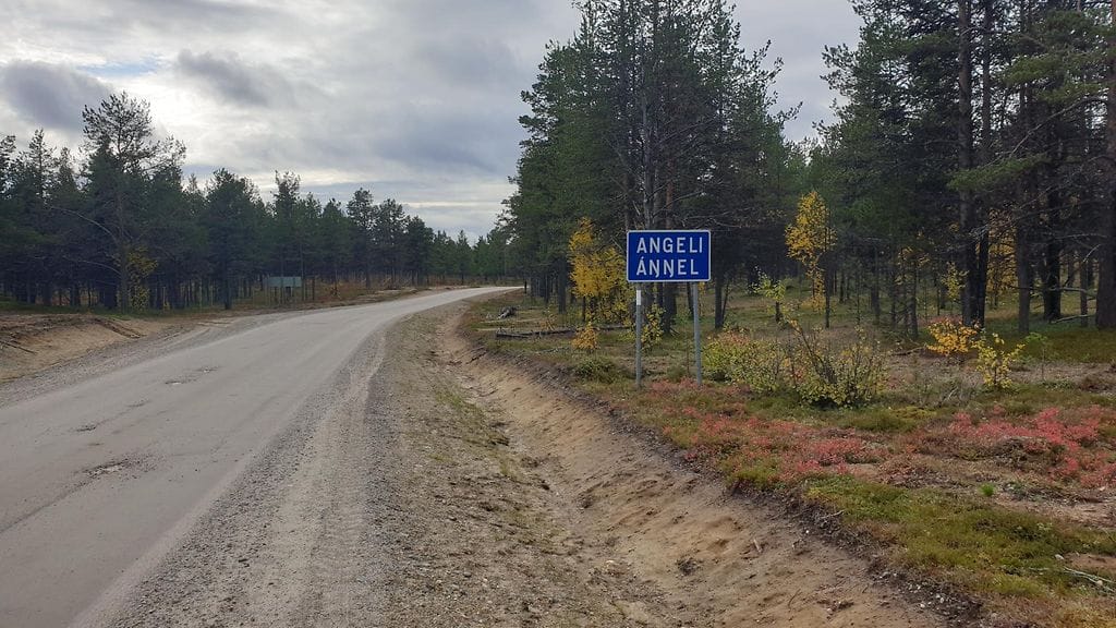 Antti Hanhivaara Angeli