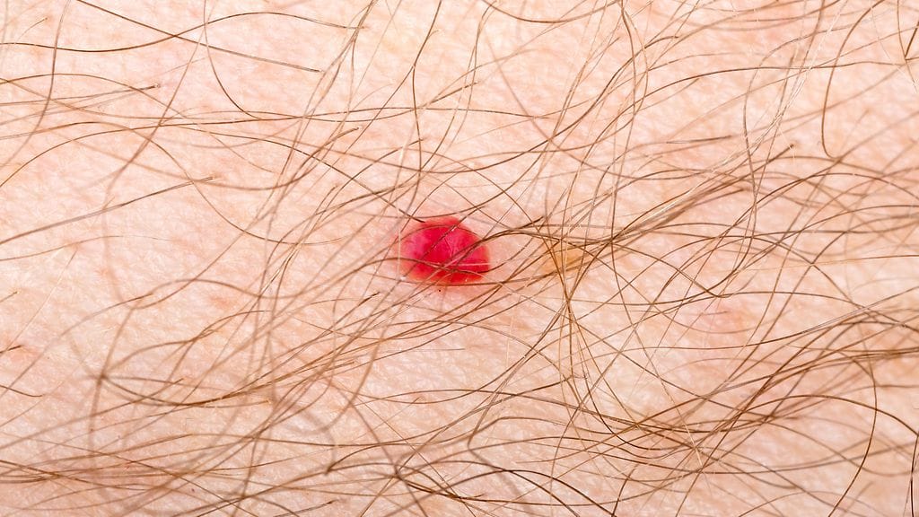 shutterstock_582435400