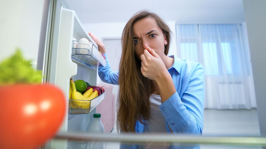 Epämiellyttävältä haisevan jääkaapin raikastamiseen on monia keinoja.
