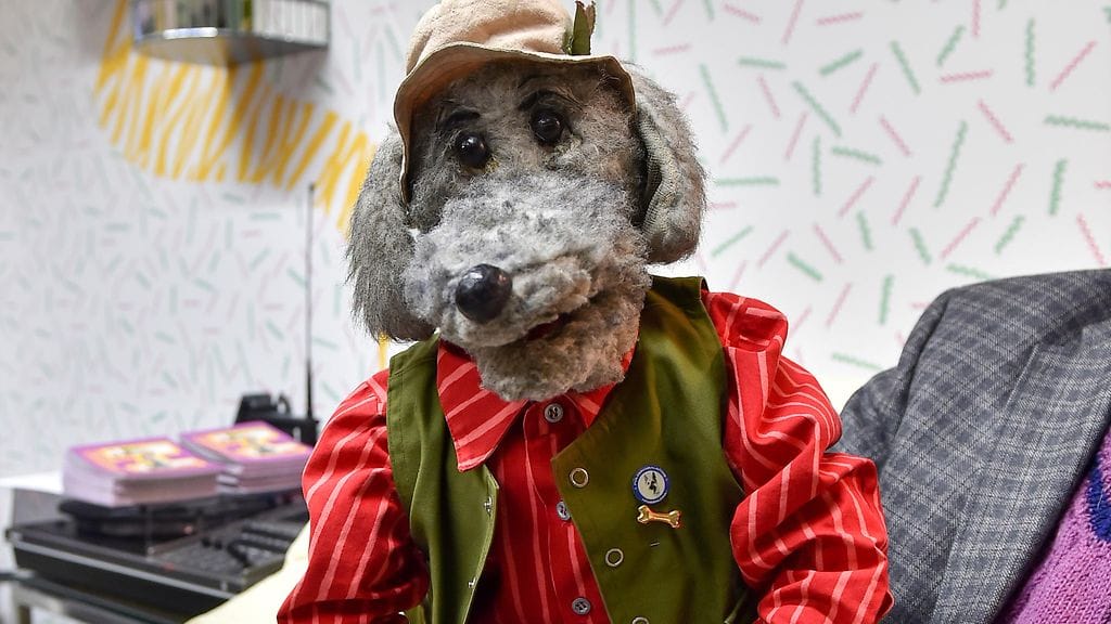 Ransu Karvakuono. Pikku Kakkonen täytti 40 vuotta 11.01.2017, kuva on otettu tuolloin.