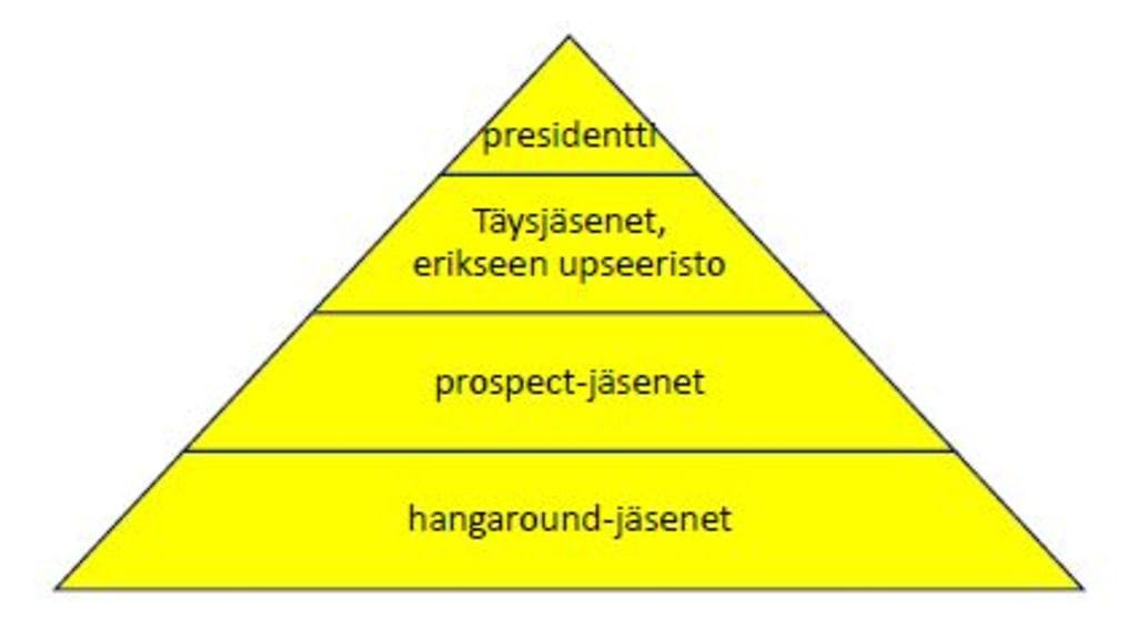 pyramidiSYYTTÄJÄLAITOS