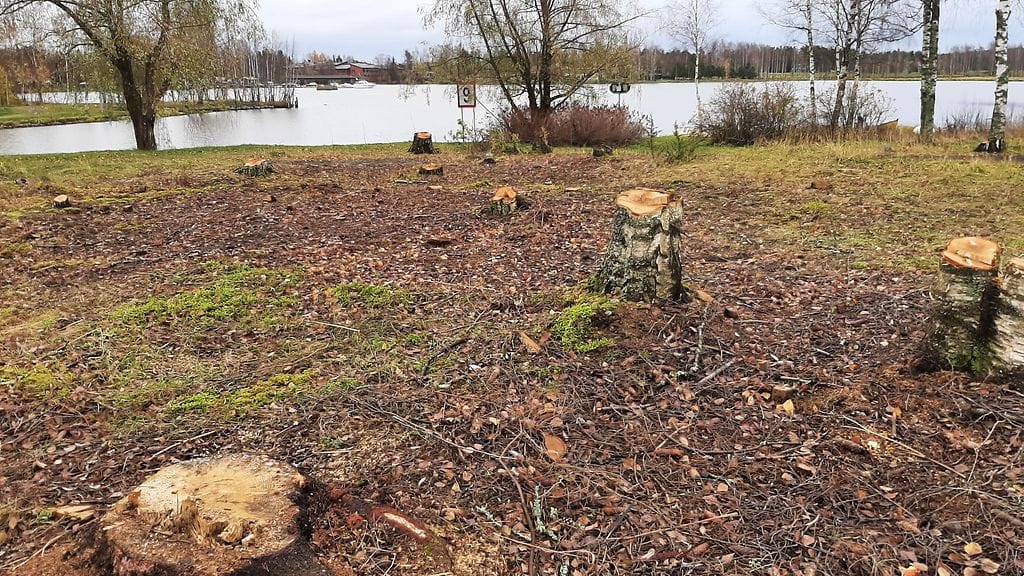 Kuva puistoalueella Vanajaveden suuntaan.