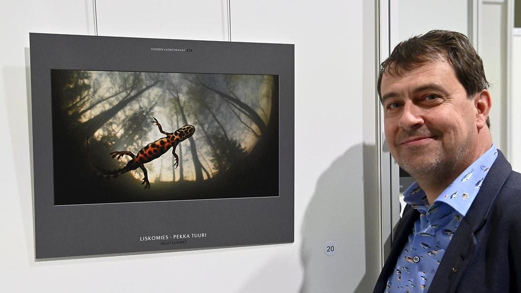 LKS 20211023 Vuoden luontokuvan ottaja Pekka Tuuri poseeraa palkitun öLiskomies"- kuvansa kanssa Vuoden luontokuva -festivaalilla Helsingissä 23. lokakuuta 2021.