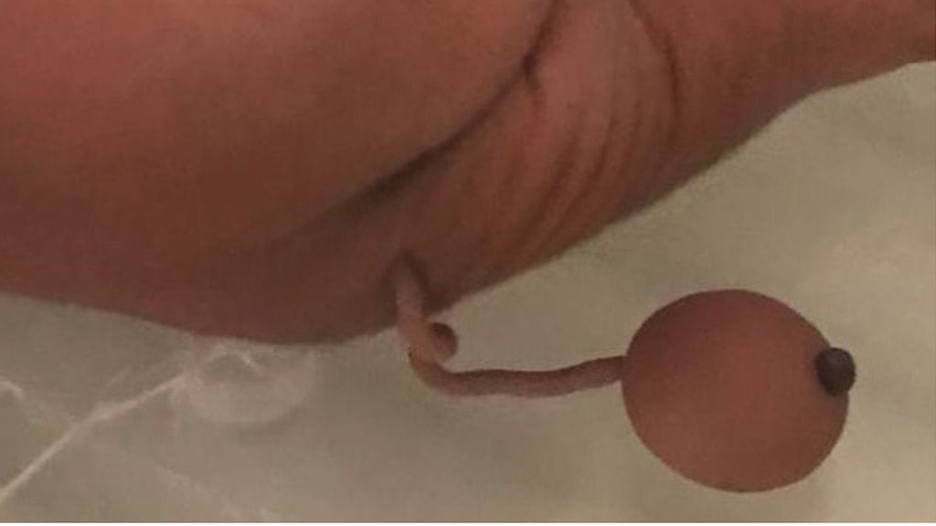 1-s2.0-S2213576621000233-gr1_lrg