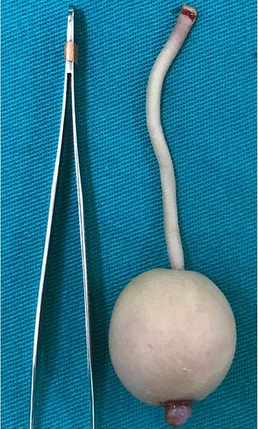 1-s2.0-S2213576621000233-gr4_lrg