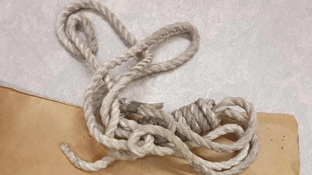 Eduskunnan turvallisuusosasto: Hirttosilmukka eduskuntaan