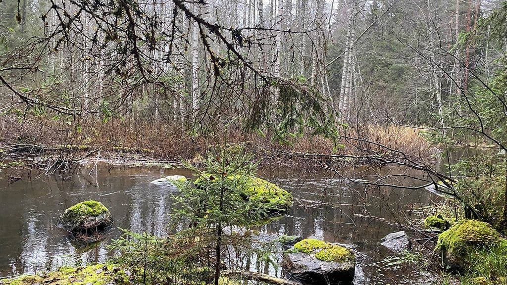 Lahti, ekologinen kompensaatio, ranta