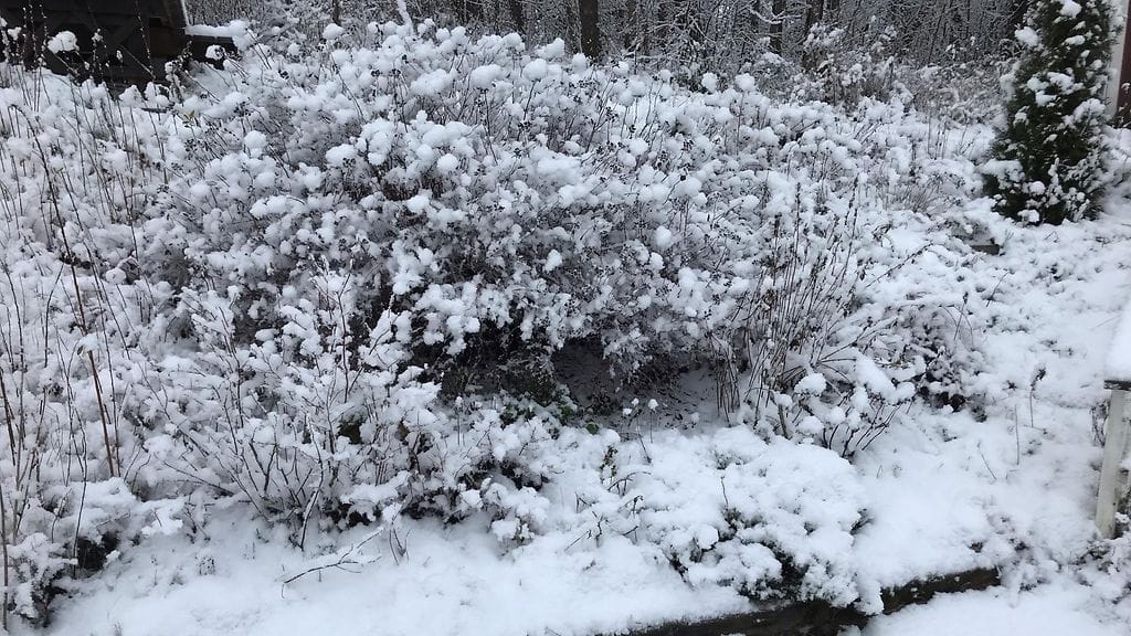 231121 lumi Ojakkala Vihti 1