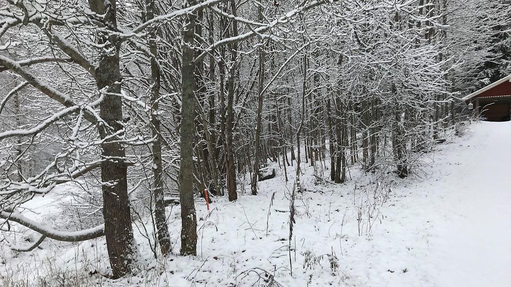 231121 lumi Ojakkala Vihti 2