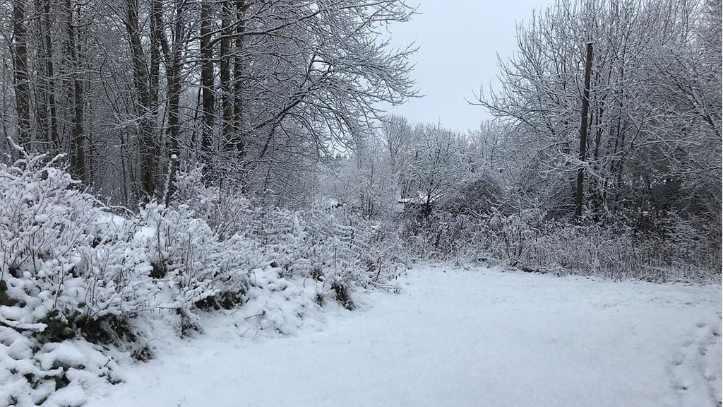 231121 lumi Ojakkala Vihti 4