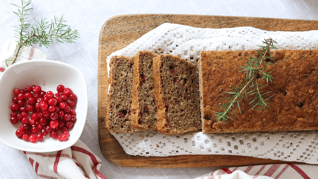 MAINOS Semper kuva 2