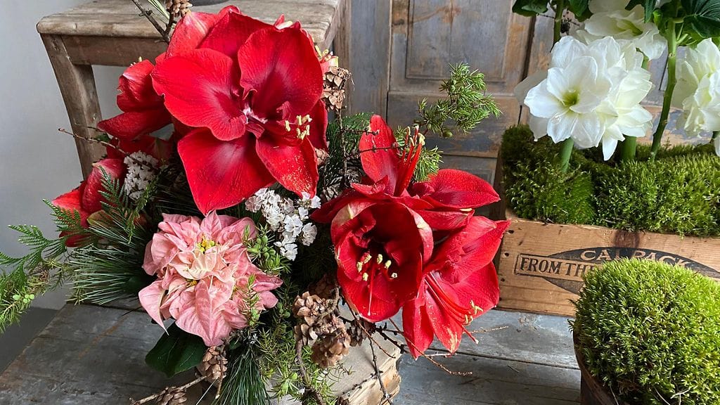 joulukukka-asetelma (4)