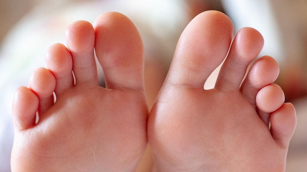 shutterstock_1371423323