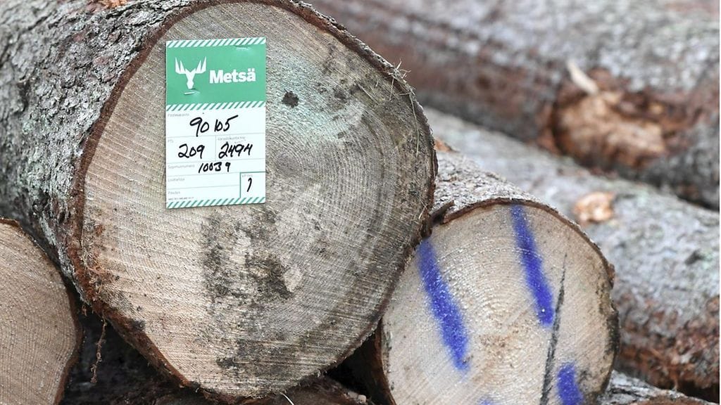 Kuvituskuvassa Metsä Groupin pinonpäälappu tukkipinossa Keuruun Huhkojärvellä sunnuntaina 15. marraskuuta 2020.