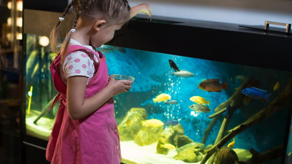 Peyton toi lemmikkikalansa hoitopaikkaan juomapullossaan. Kuvituskuva.