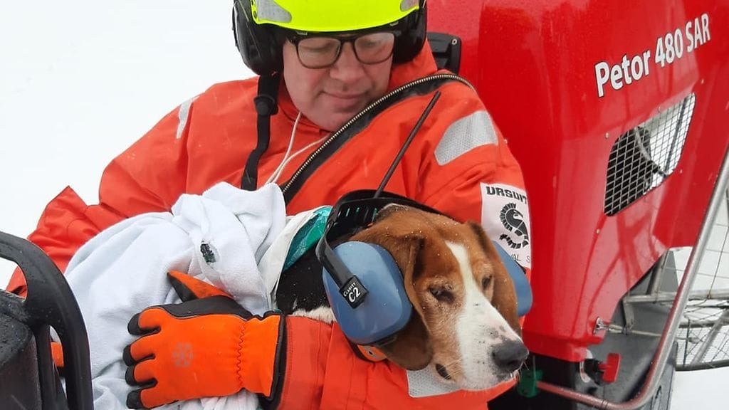 Uupunut koira saatiin lopulta turvaan saaresta hydrokopterin avulla.
