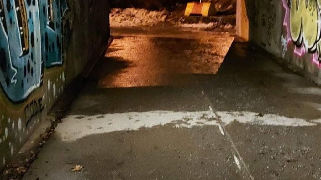 Katariina Saarela kertoo, että sähköisku tuli kadussa näkyvän kuivan alueen kohdalta.