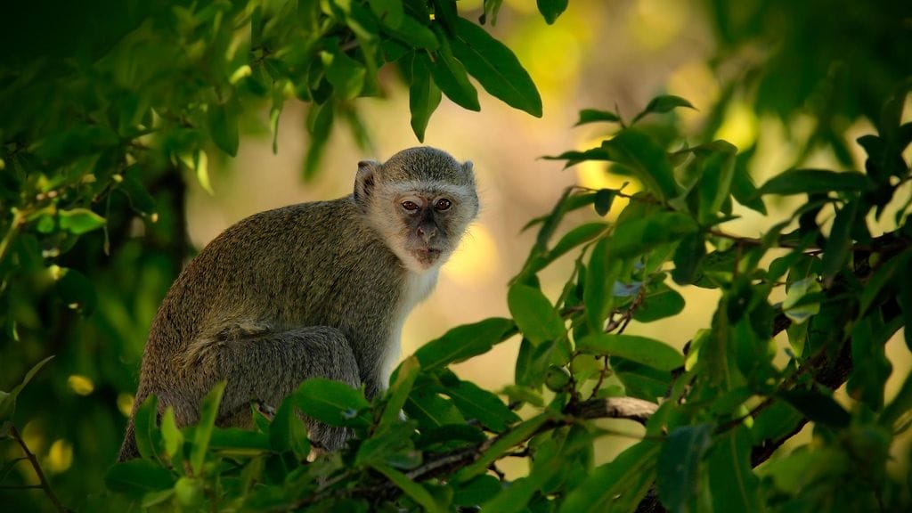 shutterstock_372548482