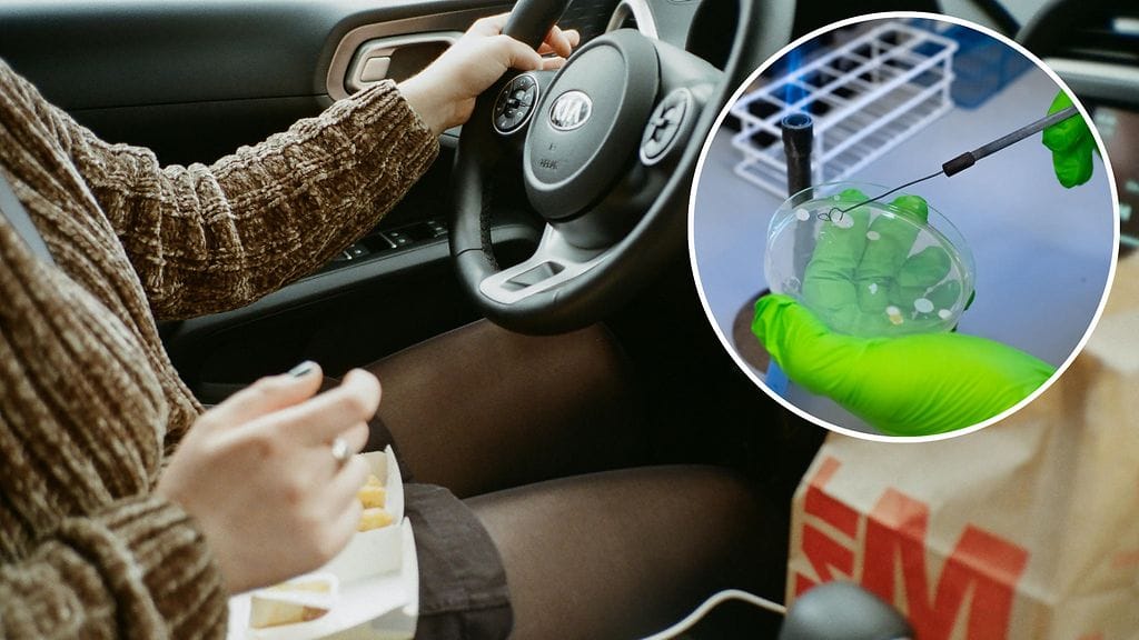 Kuljettajan istuin on toiseksi likaisin paikka autossa.