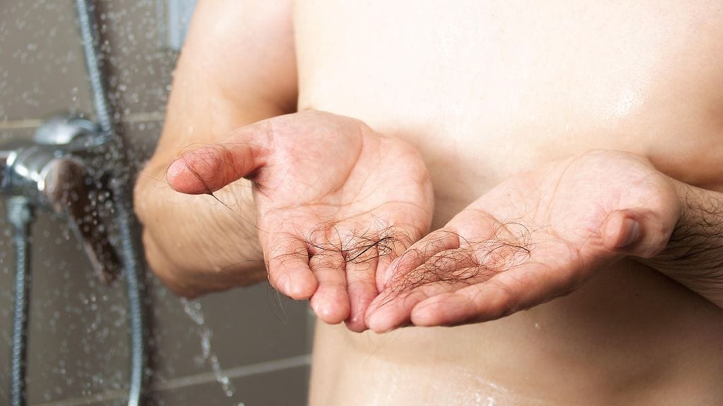 shutterstock_1808968141