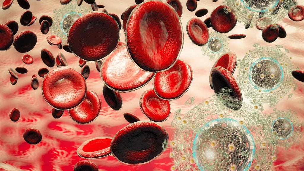 Taiteilijan 3d-mallinnos HI-viruksesta verenkierrossa. HIV tarttuu suojaamattomassa yhdynnässä, veren välityksellä tai äidistä lapseen raskauden tai synnytyksen aikana.