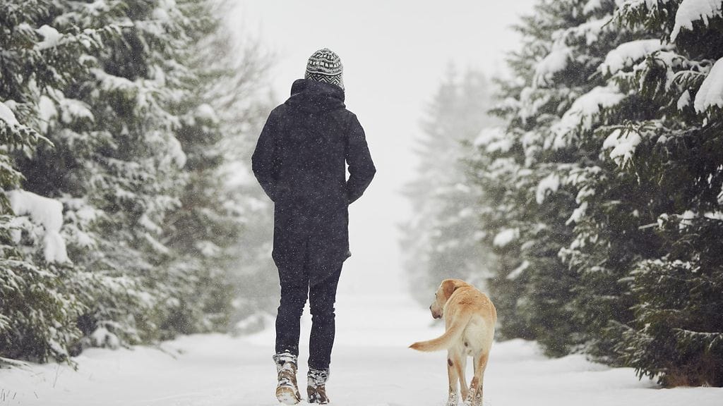 Asiantuntijat suosittelevat kävely ruoan jälkeen. Kuvituskuva.