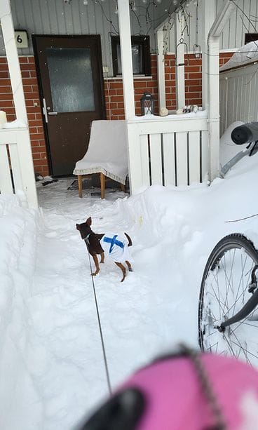 Lukijan kuva, jääkiekon olympiafinaali 3